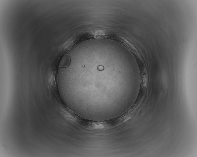 X0000116650618200912141257