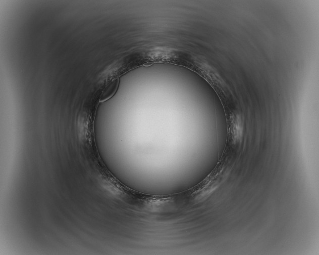 X0000116650619200912141256