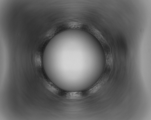 X0000116650622200912141256