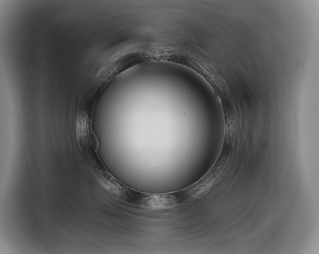 X0000116650623200912141256