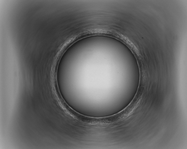 X0000116650625200912141256