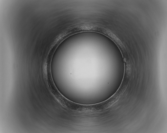 X0000116650626200912141256