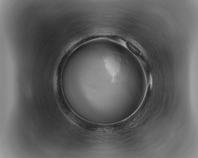 X0000116650627200912141256