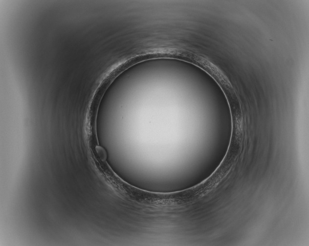X0000116650628200912141256