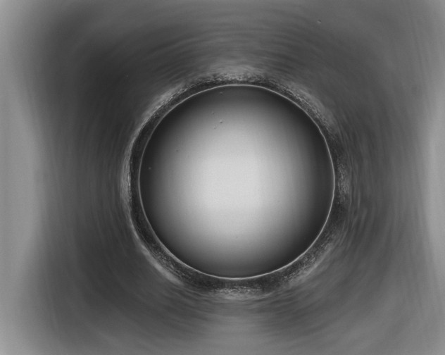 X0000116650630200912141256