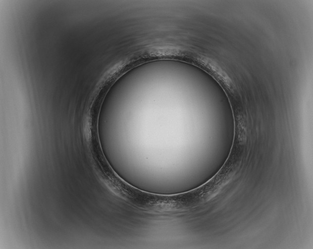 X0000116650631200912141256