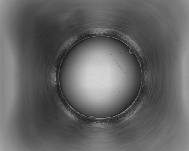 X0000116650633200912141256