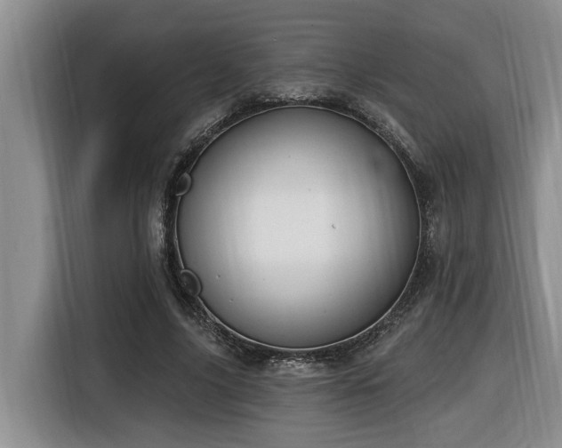 X0000116650635200912141256