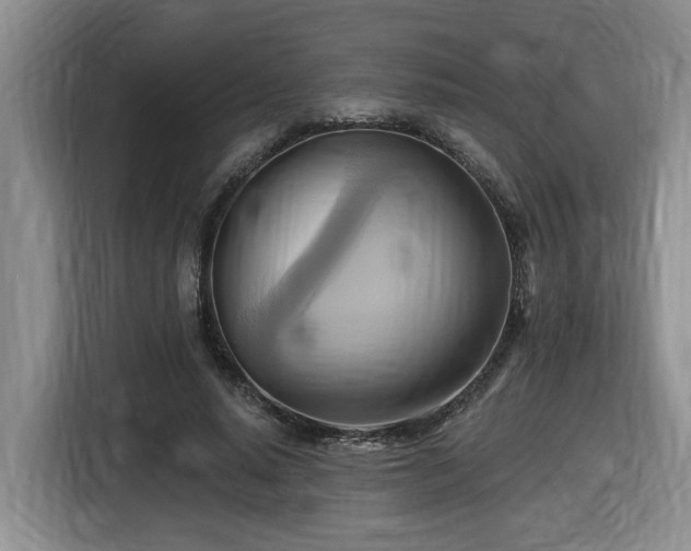 X0000116650640200912141256