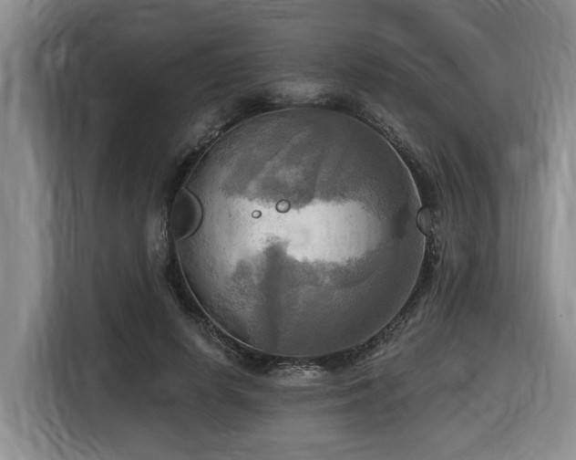 X0000116650642200912141256