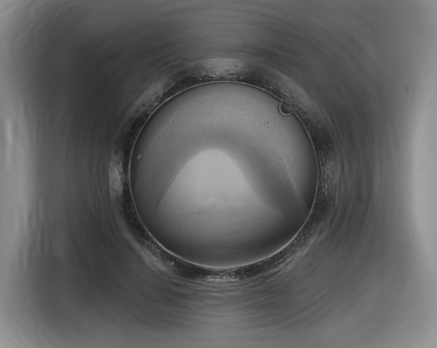 X0000116650644200912141256