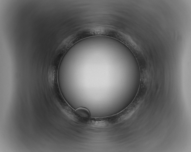 X0000116650645200912141256