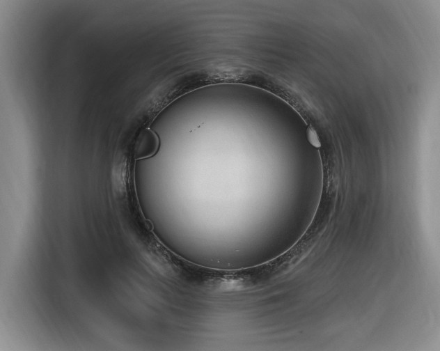 X0000116650647200912141256