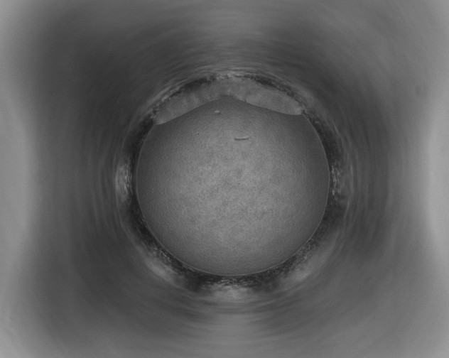 X0000116650648200912141256