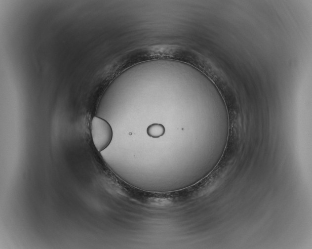 X0000116650649200912141256