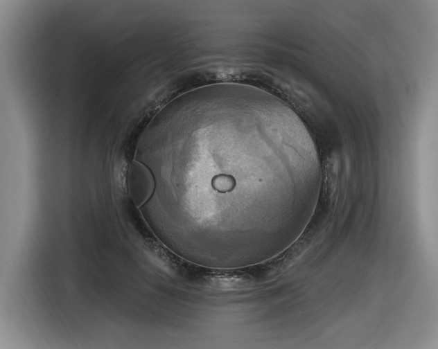 X0000116650650200912141256