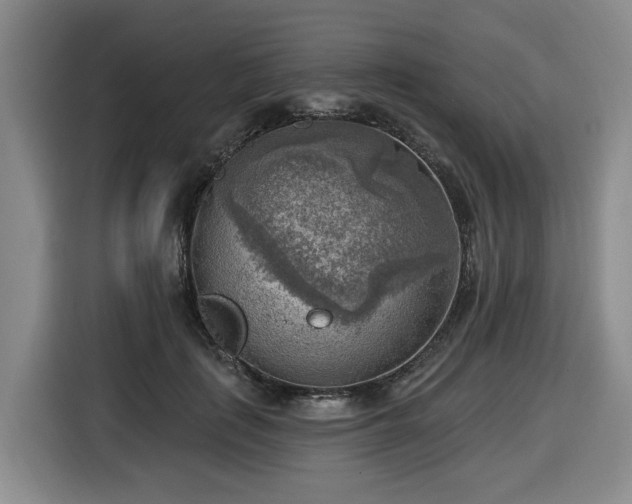 X0000116650651200912141256