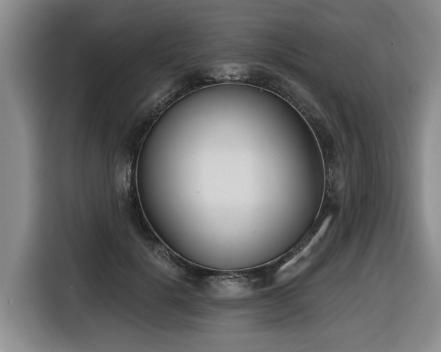 X0000116650652200912141256