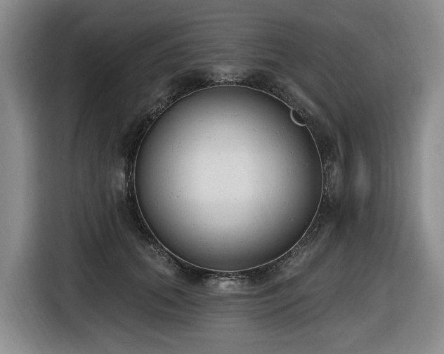 X0000116650655200912141256