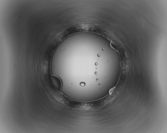 X0000116650656200912141256