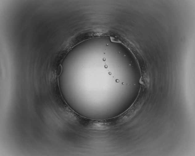 X0000116650657200912141256