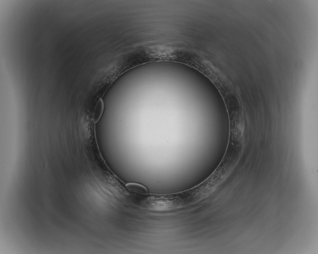 X0000116650658200912141256