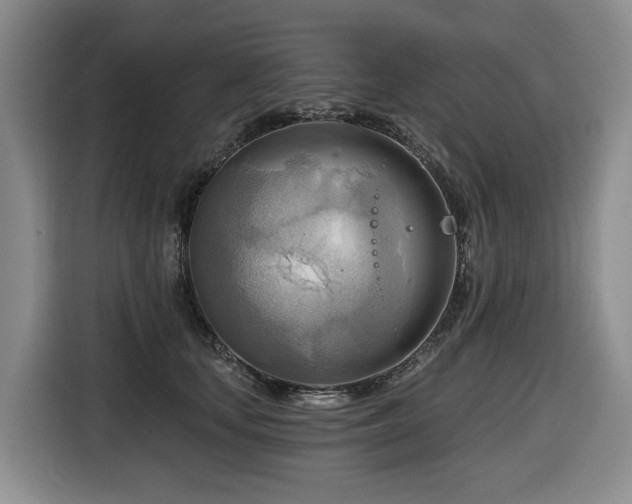 X0000116650659200912141256