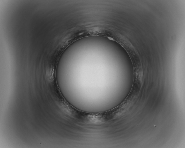 X0000116650660200912141256