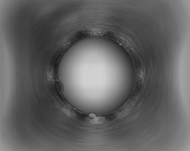 X0000116650663200912141256