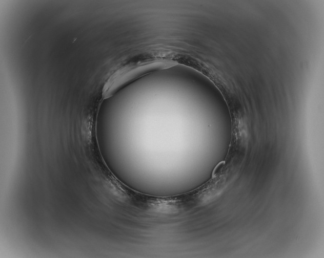 X0000116650664200912141256
