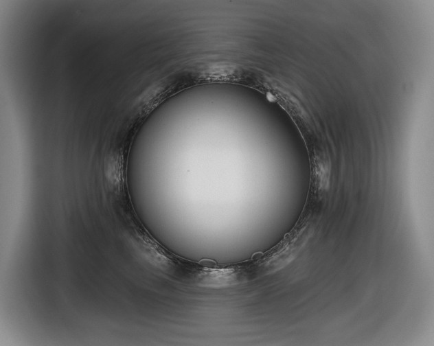 X0000116650665200912141256
