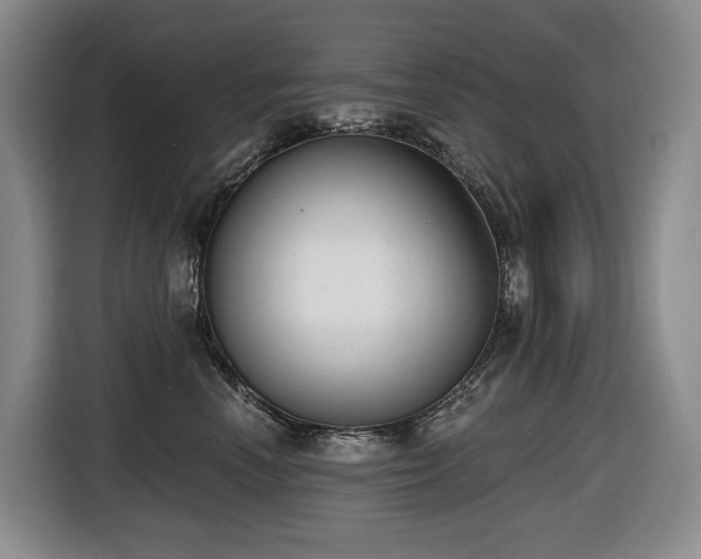 X0000116650666200912141256