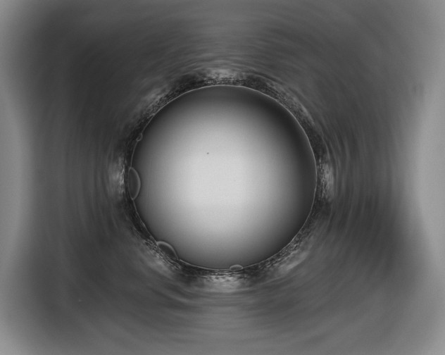 X0000116650668200912141256