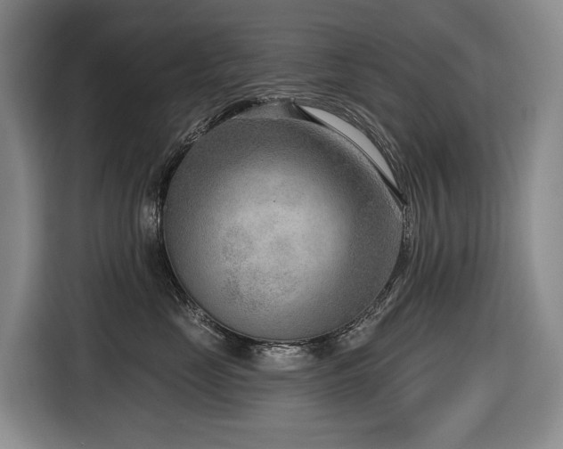 X0000116650669200912141256