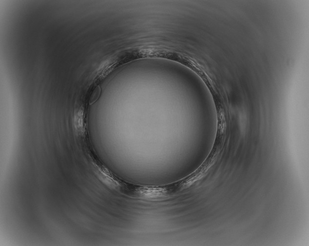 X0000116650670200912141256