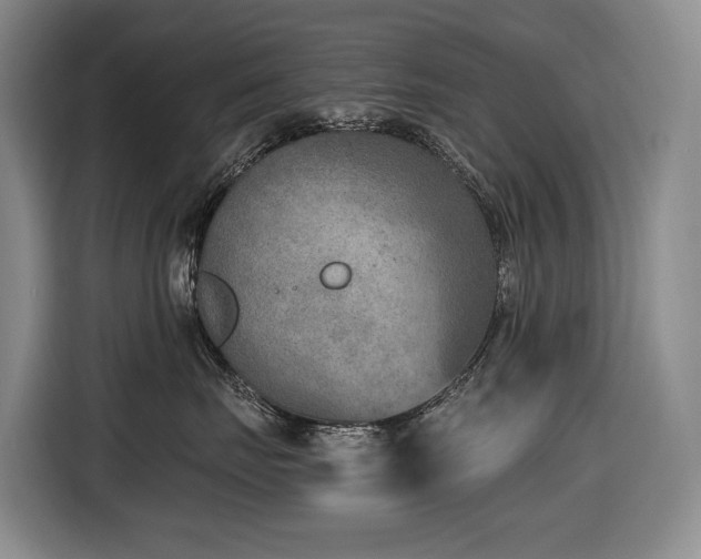 X0000116650671200912141256