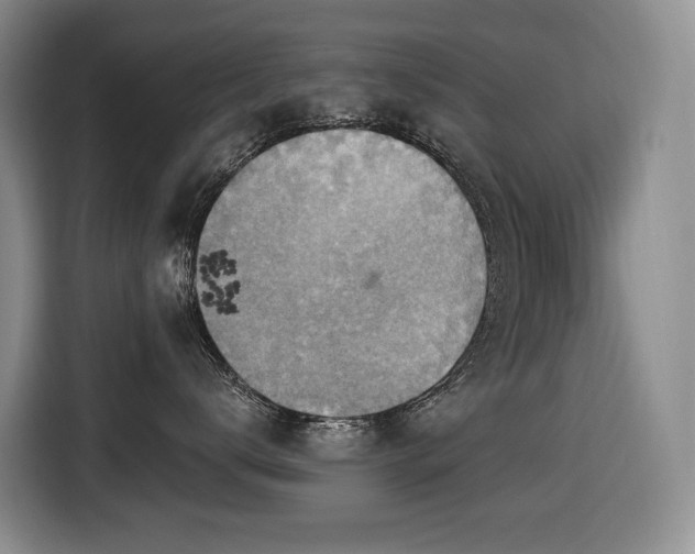 X0000116650672200912141256