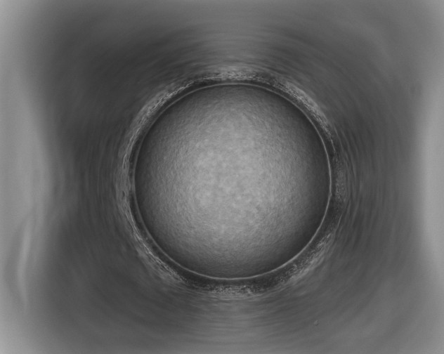X0000116650673200912141256
