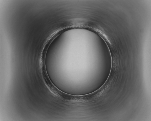 X0000116650674200912141256