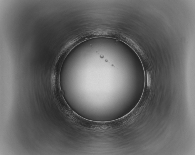 X0000116650675200912141256