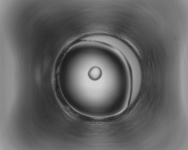 X0000116650677200912141256