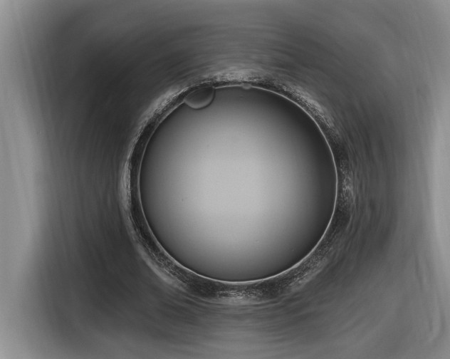 X0000116650678200912141256
