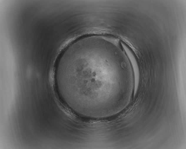 X0000116650679200912141256