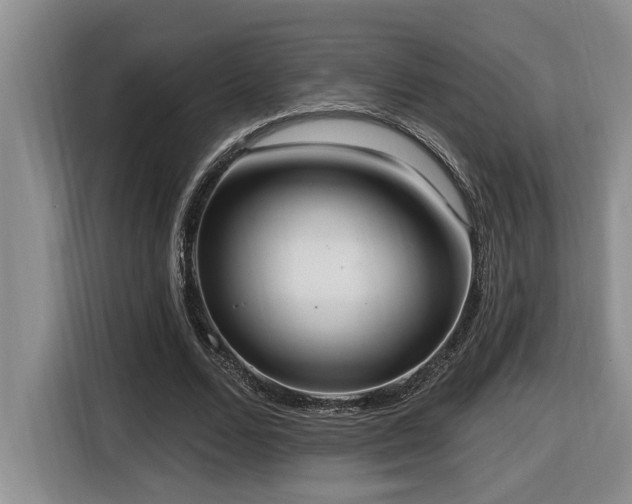 X0000116650680200912141256