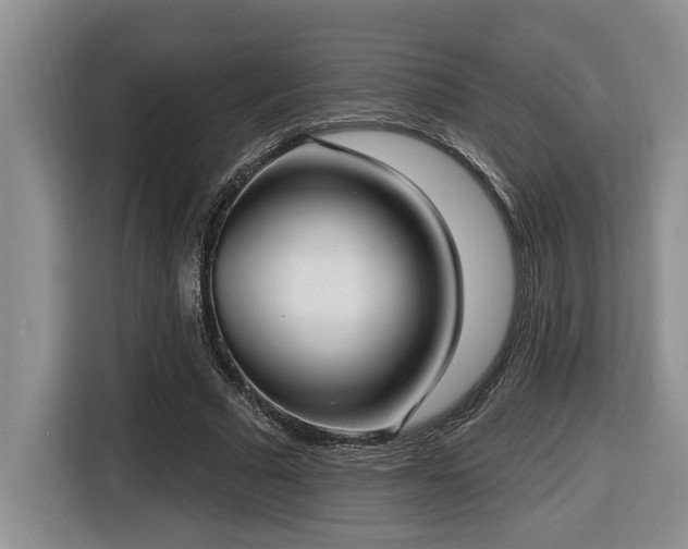 X0000116650681200912141256