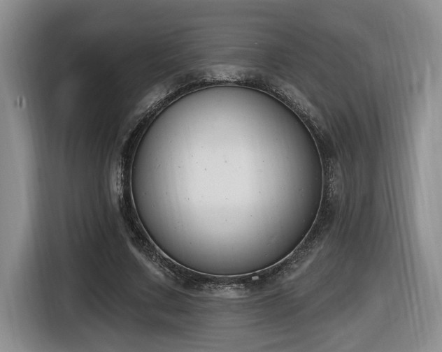 X0000116650683200912141256