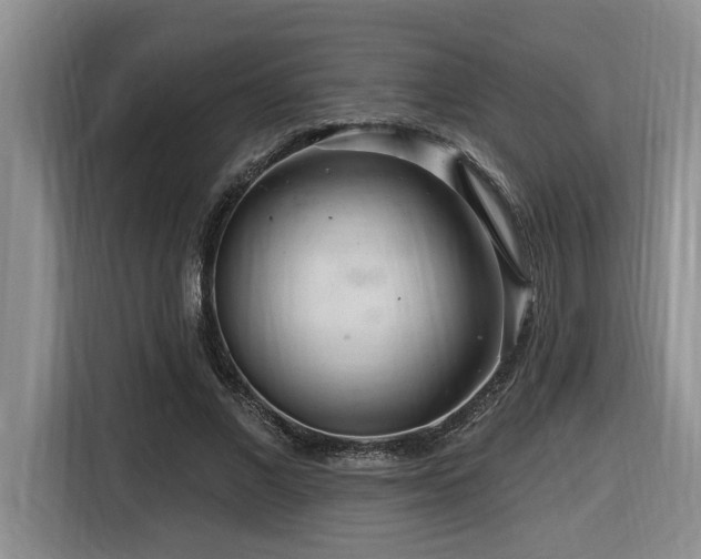 X0000116650685200912141256