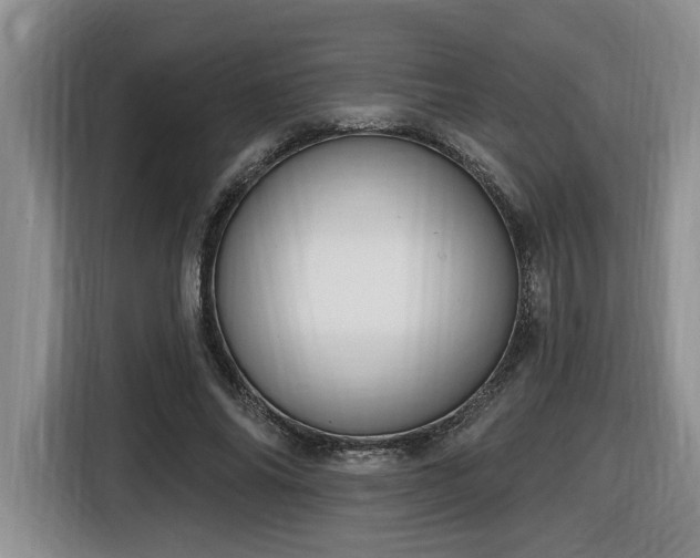 X0000116650686200912141256