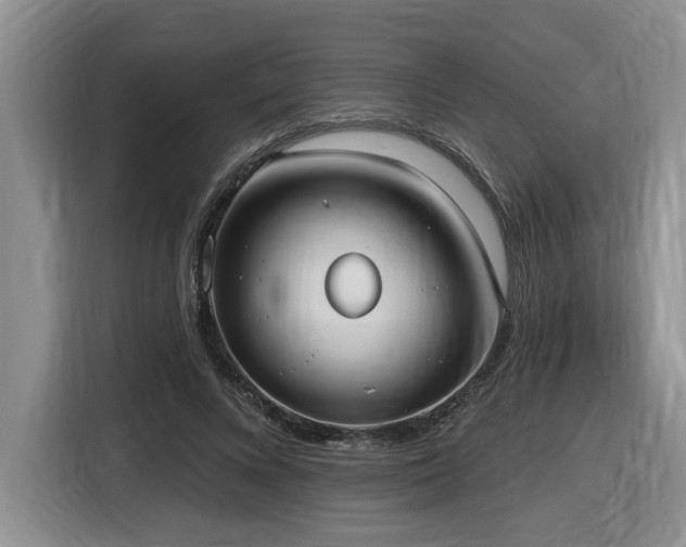 X0000116650688200912141256