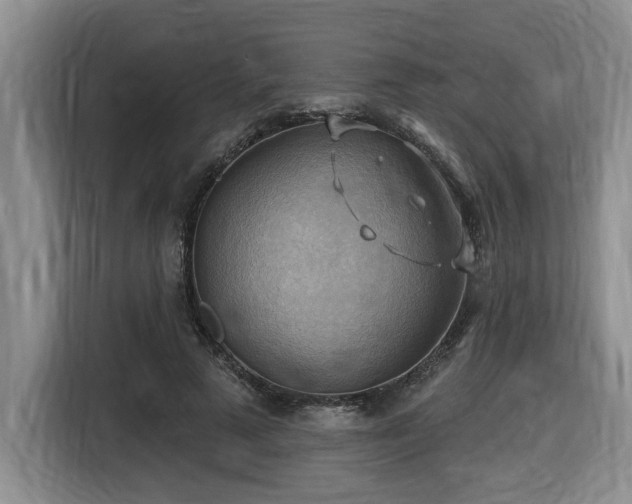 X0000116650689200912141256